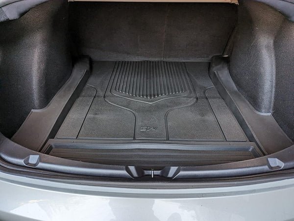 Depoimento Fernanda Lima